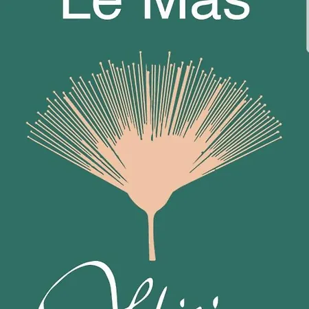 Le Mas Albizia 펜션 미요